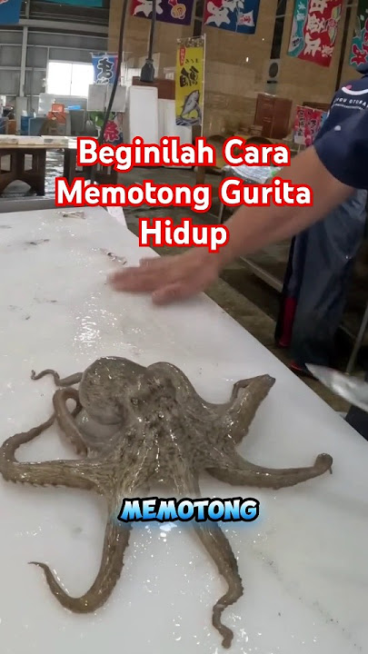 Skill Memotong Gurita #shorts #skill #gurita #octopus #sashimi #japanesefood #seafood