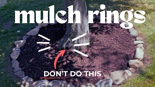 How to Make a Mulched Tree Ring - Complete Guide & Benefits - Cheap and Easy!