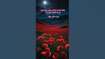 وقالوا الحمد لله الذي أذهب عن الحزن | سورة فاطر | شيخ رعد الكردي #رعد_الكردي #اكسبلور #raadalkurdy