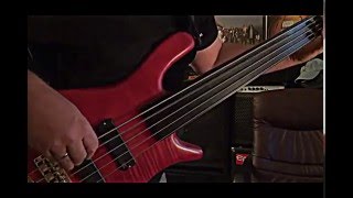 Funky Fretless Bass Guitar - Andy Irvine chords