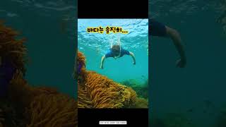 커플여행, 나트랑 vs 푸꾸옥 어디가 더 좋아요?