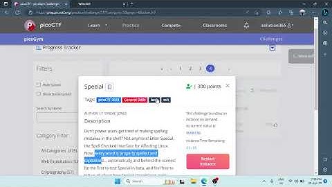 PicoCTF 2023: Special