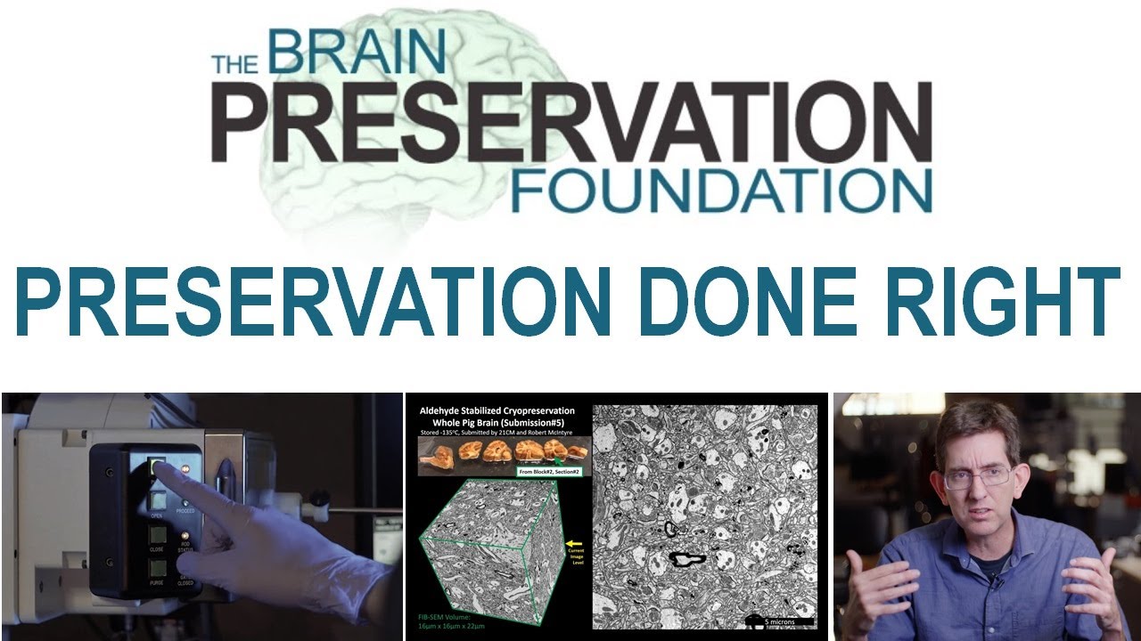 BPF Video Series Episode 7 of 8 – Preservation Done Right