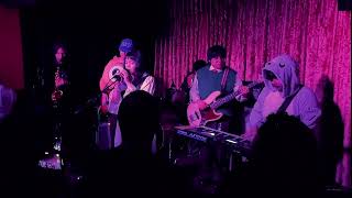 The Treedome -Live- Why Do I Try?