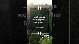 Eagle Sky 2023 Romans 828