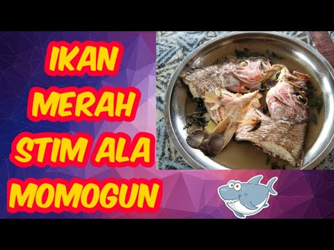 Ikan Merah Stim Ala Momogun - YouTube