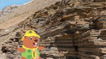 Parka Discovers Fossils