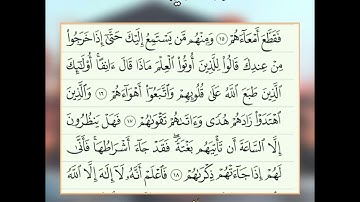 سورة محمد آية 15-18 صوت الشيخ ياسر الدوسري