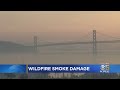 Wildfire Smoke Revealed To Be More Damaging Than Originally Believed