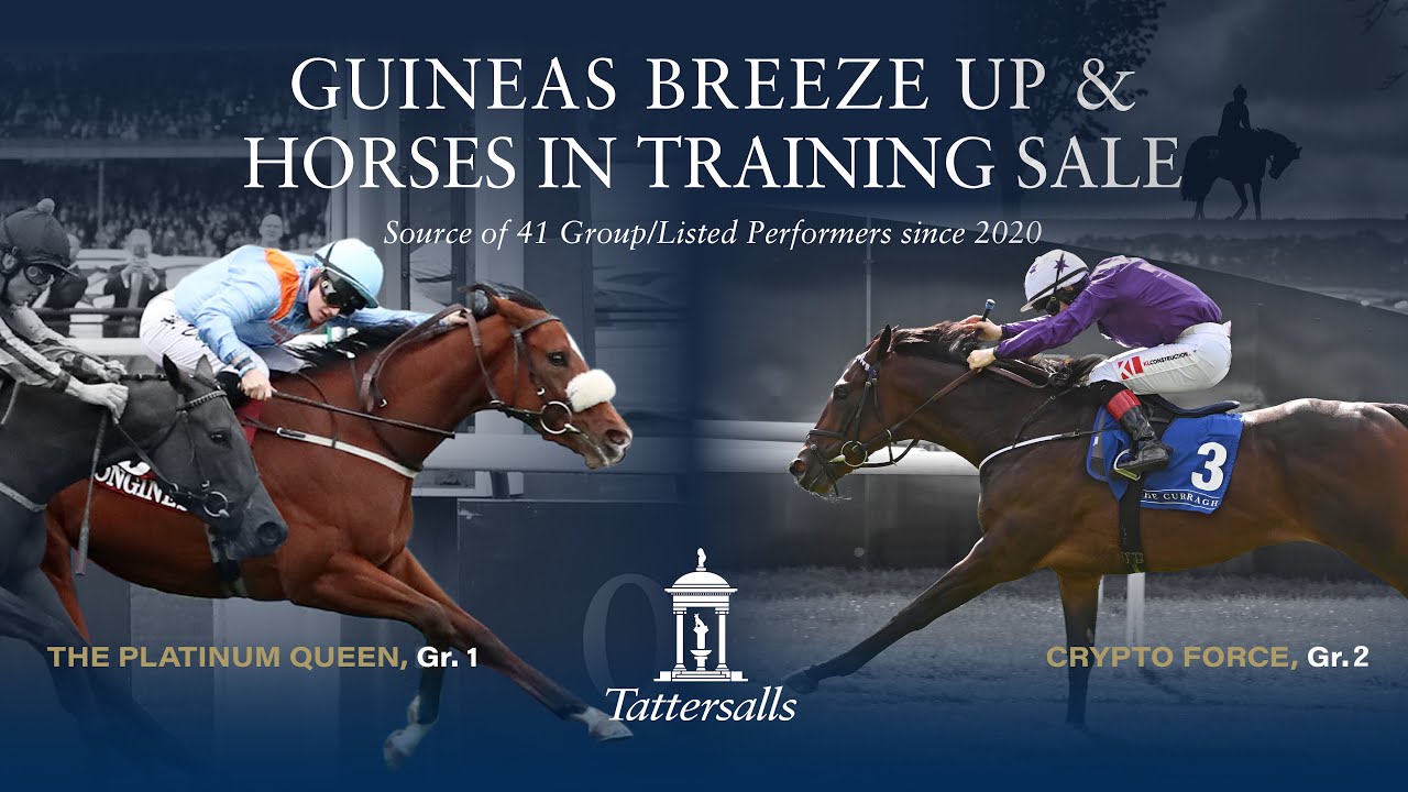 Tattersalls Guineas Breeze Up Sale 2023: Breezes in lot order