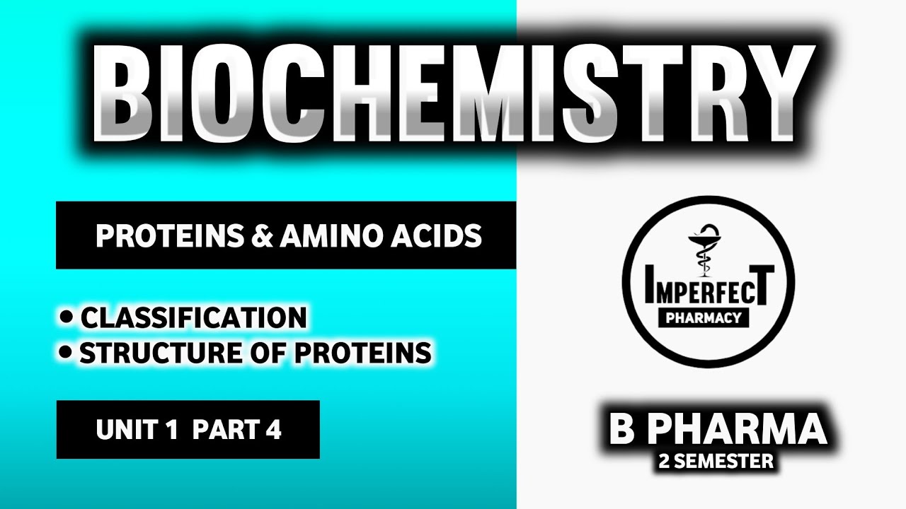 Proteins And Amino Acids Biomolecules Biochemistry B Pharma 2nd