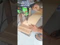 Proses bikin lubang baut cakram sambungan Track Saw #woodworking #diy #tracksaw #carpentry #project