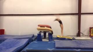 Training video: Vault Yurchenko 1/2