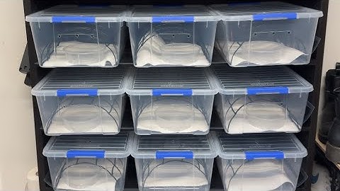 Hatchling Rack on a budget Green Tree Python