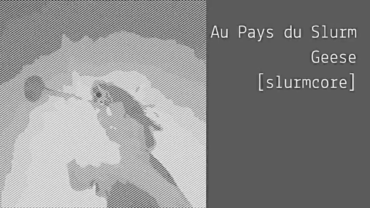 Au Pays du Cocaine - Geese [slurmcore edit] - YouTube