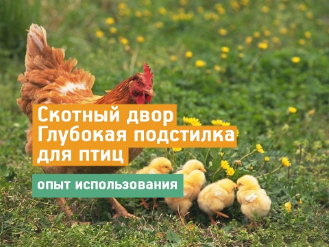 Опыт использования глубокой