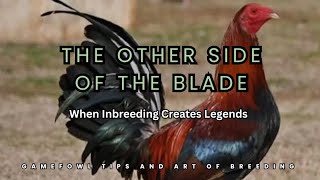 Celebrity “The Other Side of the Blade: When Inbreeding Creates Legends” Net Worth