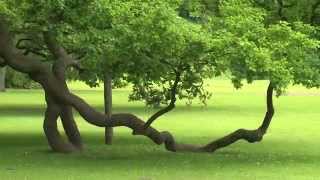 Gäste-Tipp: Gräflicher Park Bad Driburg / Teutoburger Wald