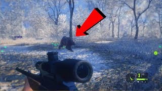 Wild Bear Attack Caught On Camera! theHunter Call Of The WIld