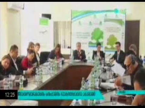 MOE: შეხვედრა GIZ-ის სამხრეთ კავკასიის ბიუროს ხელმძღვანელთან