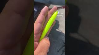 New Jackall Rerange Color