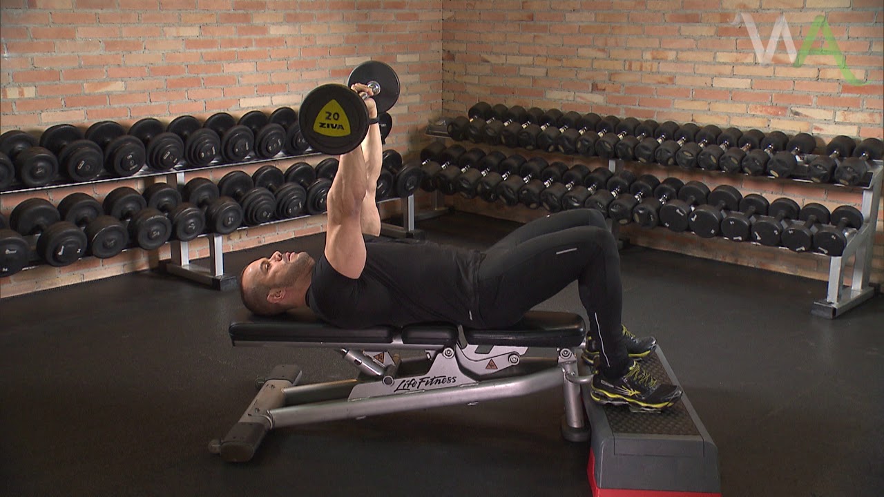 TRÍCEPS SUPINADO COM BARRA YouTube