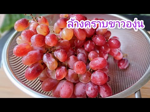 3 เคล็ดลับ ล้างคราบขาวองุ่น นวลองุ่น ให้สะอาด |แค่เลchannel