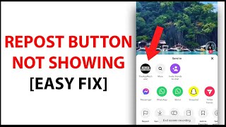 Repost Button Not Showing On Tiktok In 2024 Easy Fix