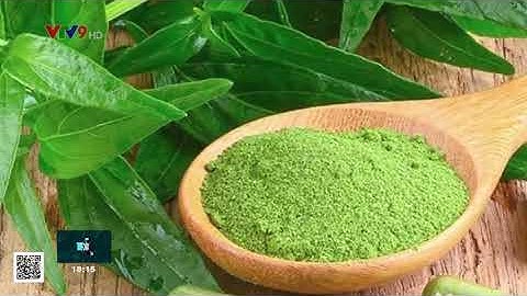 YDHDT: Xuyên tâm liên không phải là thần dược