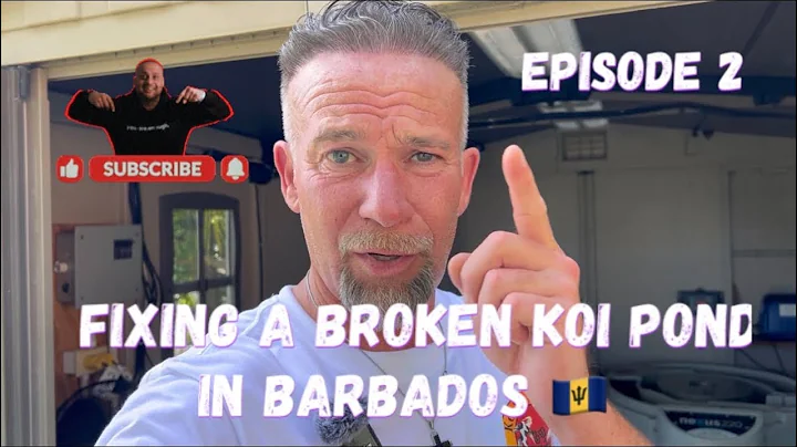 Fixing a Broken Koi Pond in Barbados 🇧🇧 episode 2