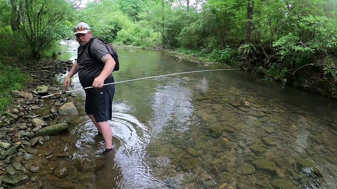 Hot Springs creek fishing YouTube