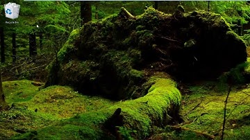 Windows 10 - How to Make Icons Bigger or Smaller