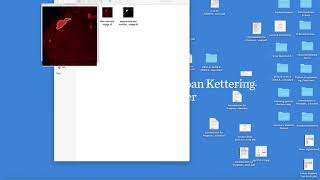 Python Programming Course Final Project Screen Recording Zhouyang Shen