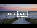 Kendrick Lamar - Swimming Pools (Digital Nature Bassline Mix)