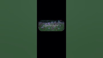 سبحان الله وبحمده سبحان الله العظيم #قرآن #سورة_آل_عمران #محمد_صديق_المنشاوي