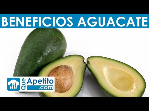 8 Propiedades y Beneficios del Aguacate | QueApetito