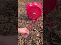 This Darton Tritech rips! forgot to post this one the other day