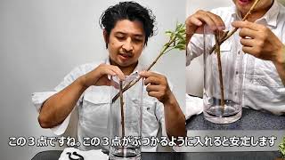 【How toいけばな】縦の添え木留め