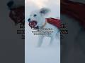 If I send you this, it means I’m draggin you home | Superman Now Showing at Regal