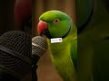 گرین طوطا قرآن کی تلاوت کرتا ہوا ق ل ه و الل ه أ ح د الل ه الص م د سورۃ الاخلاص