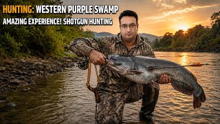Unbelievable catch | wallago attu catfish Hunting | Outdoor fishing | slingshot fishing