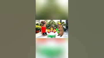 Capybara cùng anh giúp bà tắm cho Los Sammysitos Dicen Tacos Brainrot Roblox và cái kết #capybara