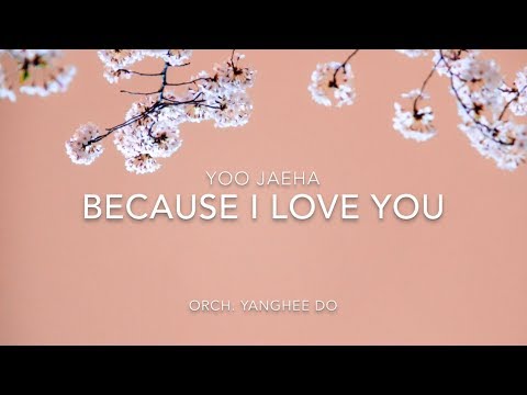 사랑하기 때문에 (오케스트라 버전 ) - Yoo Jaeha