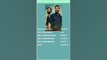 Raid 2 Box Office Collection Day 2 #ajaydevgan #riteishdeshmukh #bollywood  #bollywoodkhabar #movie