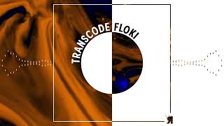 Transcode - Floki