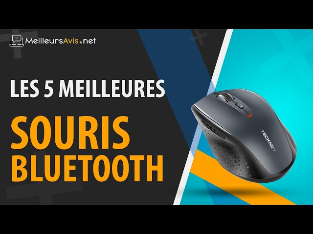 TeckNet® Pro Souris Sans Fil Classique 2 4G, Une souris qui a plus