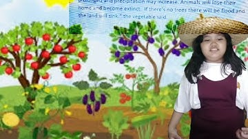 Performance task in HELE 4