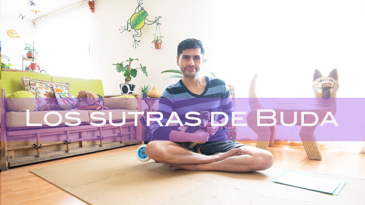 Los sutras de Buda (Octava parte) - YouTube