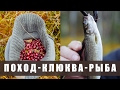 Поход в лес. Осень в тайге. - (разведка, клюква, рыба, жарим мясо, ночевка в избе)