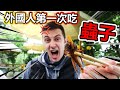 外國人第一次吃蟲子！台灣的炸蟋蟀好吃嗎？？
